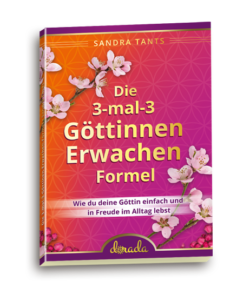 Buch: "Die 3-mal-3-Göttinnen Erwachen Formel", 3-D-Cover