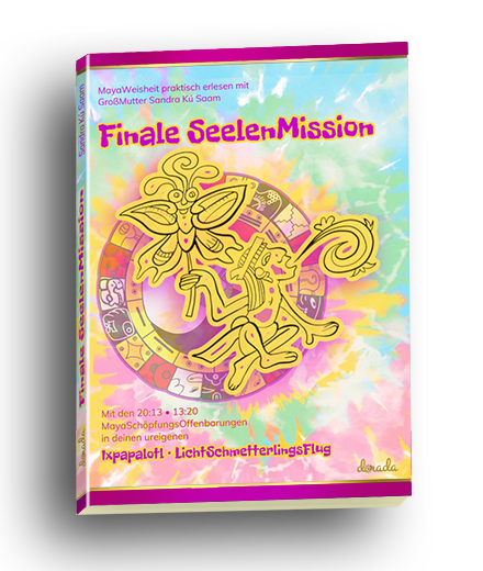 Finale SeelenMission Buchcover